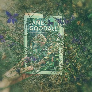 11899993_10204669857735364_816629747359688451_n