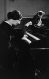 wanda landowska, kot, pianino, fortepian, klawesyn